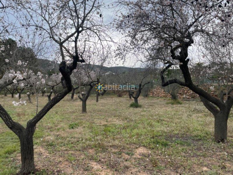 Foto 3ae14e8b-cd34-479a-8029-8b448095f0a2. Chalet en El Pilar Ontinyent