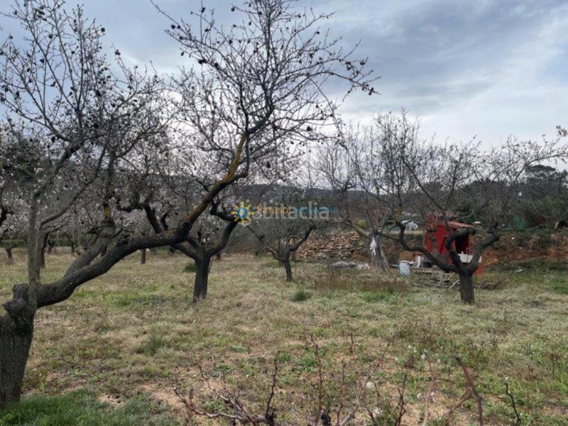 Foto 30d0634c-65bc-4d4c-9bbb-d838b31d1ef6. Chalet con camino in El Pilar Ontinyent