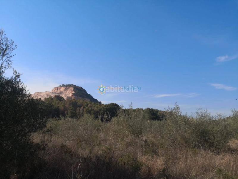 Foto 398323cf-d1a5-4355-8b9f-6471f13b8195. Rural plot in Pego