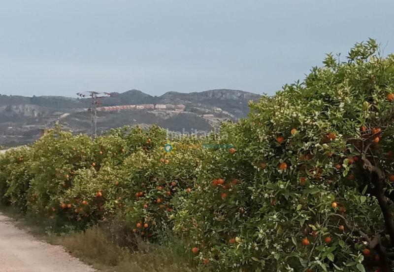 Foto 94064381-6fd5-4304-8a00-f4cccc4880a5. Rural plot in Pego