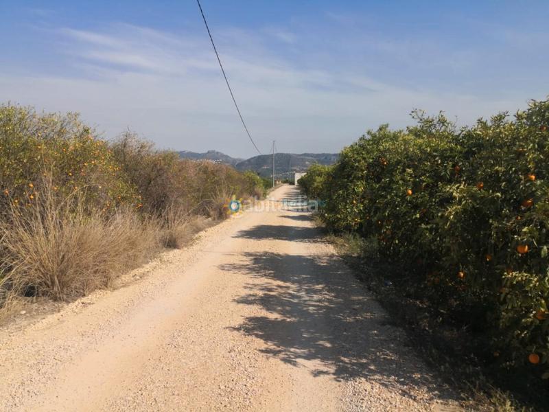 Foto be898ae4-d107-4784-aca0-6a5b205bad39. Rural plot in Pego