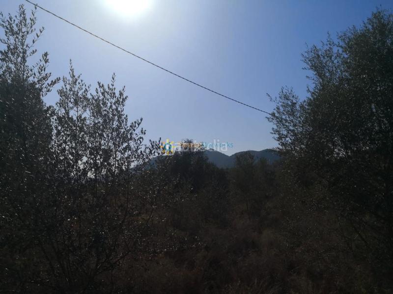 Foto f2eac1b9-831b-47e2-9a2f-d62ae3b02804. Rural plot in Pego