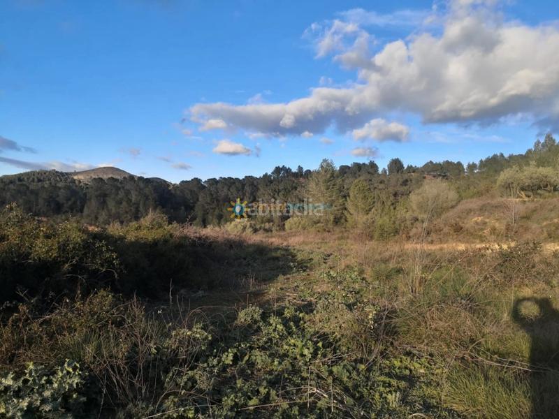 Foto de427fc4-891d-4845-b83e-45708ac1e534. Landgut in Benigànim