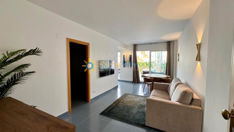 Foto 42c559e6-28fd-40f0-a8ec-828c1d41e0b7. Rent studio with heating pool in Oliva nova Oliva