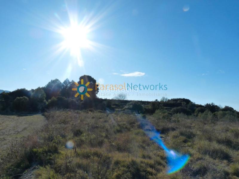 Foto 4ec19234-3193-407a-b60d-de03b9bac008. Rural plot in carrer de valència 23 in Castelló de Rugat