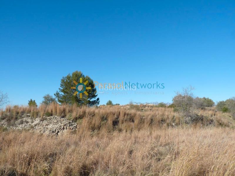 Foto 56268ac5-33b8-48a4-8f9a-76b7a73da3e9. Rural plot in carrer de valència 23 in Castelló de Rugat