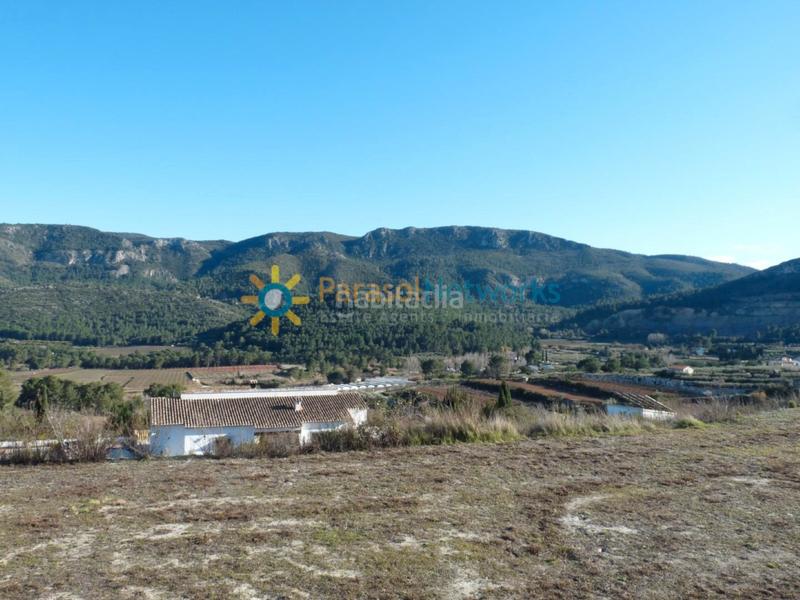 Foto 8ba9dc2f-7d85-4ed8-890a-85baeb18c160. Rural plot in carrer de valència 23 in Castelló de Rugat