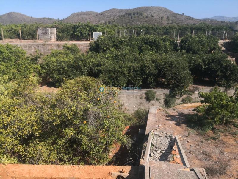 Foto 244d8d6e-5153-4e8b-98ac-3e2bae2384ae. Fondo rustico in cami de la carrasca 1 in Oliva pueblo Oliva