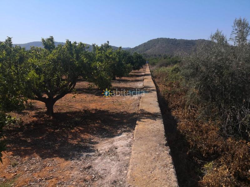 Foto b07e8e75-d2a6-4c2d-b1cd-569a5c05cdb4. Finca rústica a cami de la carrasca 1 a Oliva pueblo Oliva