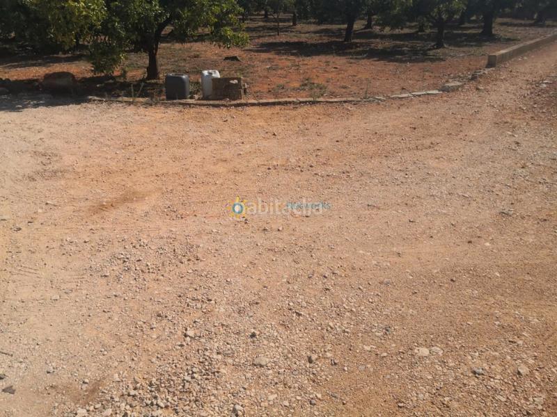 Foto f2089c0b-2155-4d04-9770-0298888d00d0. Finca rústica en cami de la carrasca 1 en Oliva pueblo Oliva