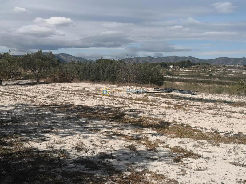 Foto 08000d76-ace7-4726-b58b-3de442cb9506. Casale con camino parcheggio in Bufali