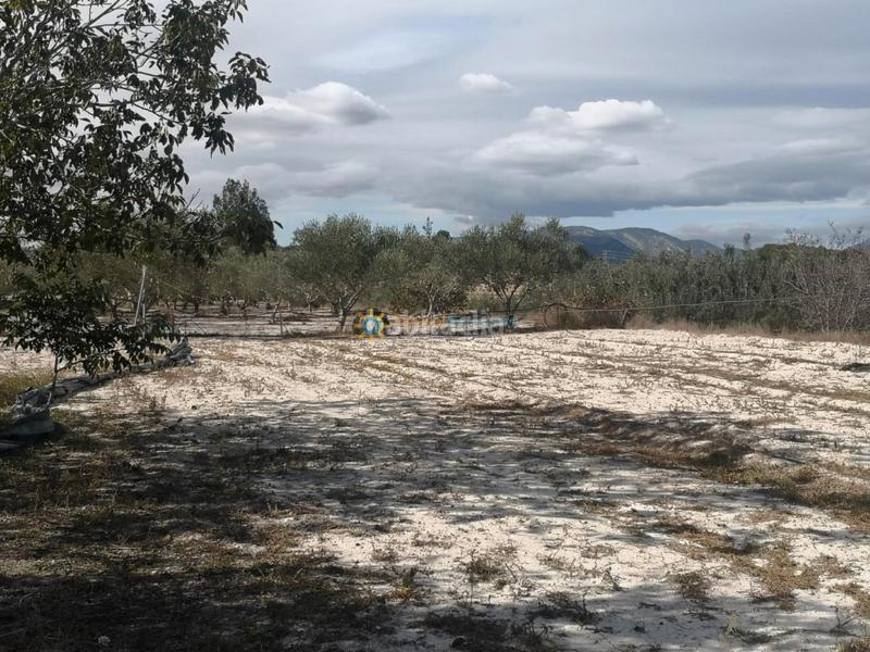 Foto 160aaf21-9f47-4484-b81b-2edd7a14e564. Casale con camino parcheggio in Bufali