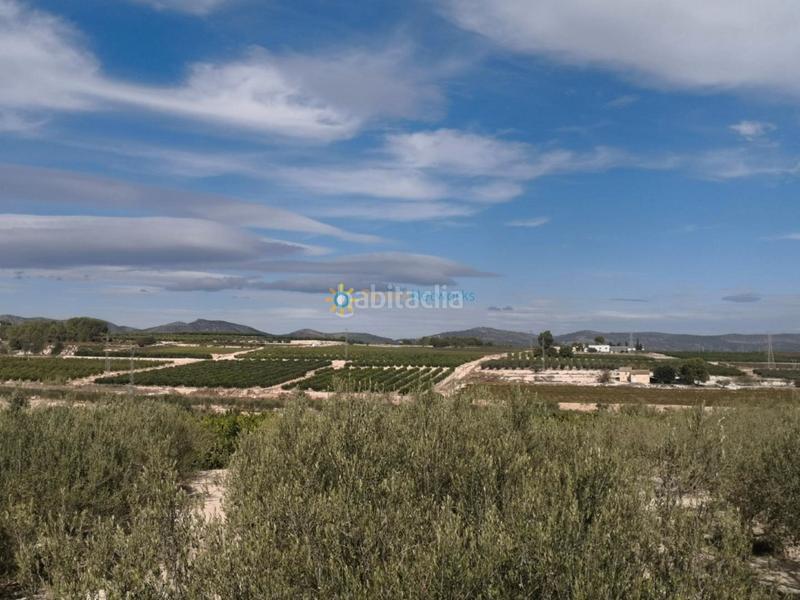 Foto 4ec2964d-7f93-4a77-a45c-c3d110e6999f. Casale con camino parcheggio in Bufali