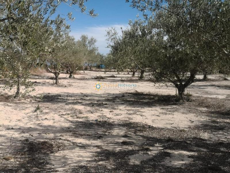 Foto 5e8944a4-37be-4e04-bbb2-6a091ed1b5e9. Casale con camino parcheggio in Bufali