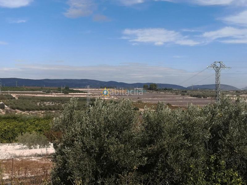 Foto 6afb1678-cc89-4d06-b06f-af3a3ca2f9e7. Casale con camino parcheggio in Bufali