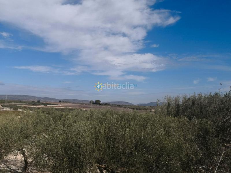 Foto 7075150e-3180-479a-a52e-c6a3b9db082a. Casale con camino parcheggio in Bufali