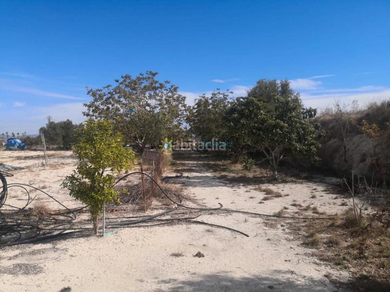 Foto 8834c947-0a6e-45b5-a0de-7728fa09a105. Casale con camino parcheggio in Bufali