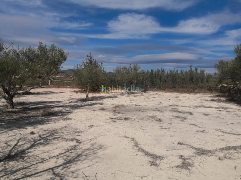 Foto 89e4f027-be5c-41e8-97cb-a1fd6da46fb4. Casale con camino parcheggio in Bufali