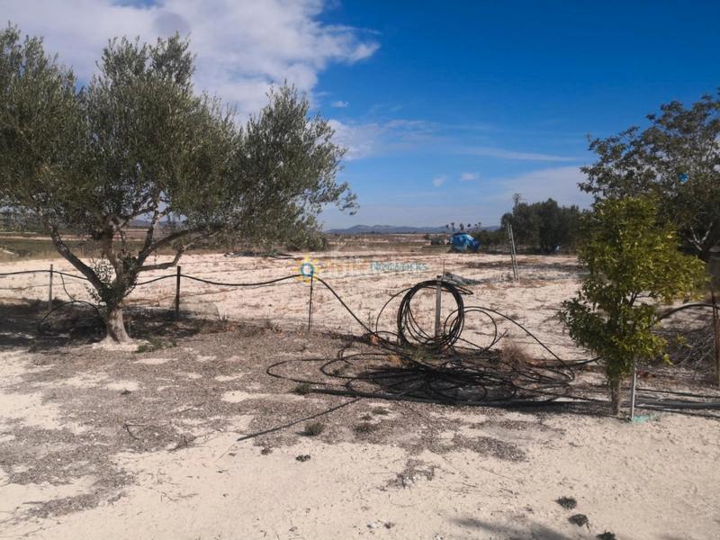 Foto 9deaf054-1844-4235-a1dd-f138e1696476. Casale con camino parcheggio in Bufali