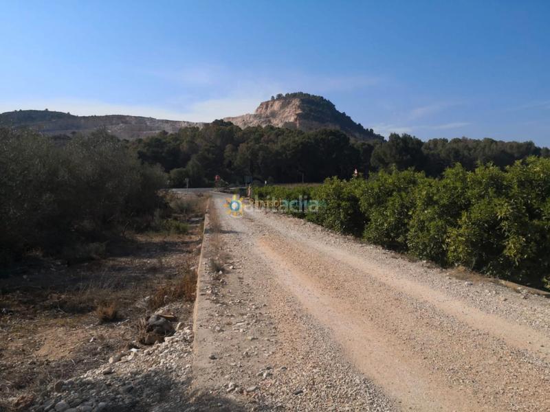 Foto 5f5f1337-0c9c-4c46-9772-ef612eaa7a50. Rural plot in Pego