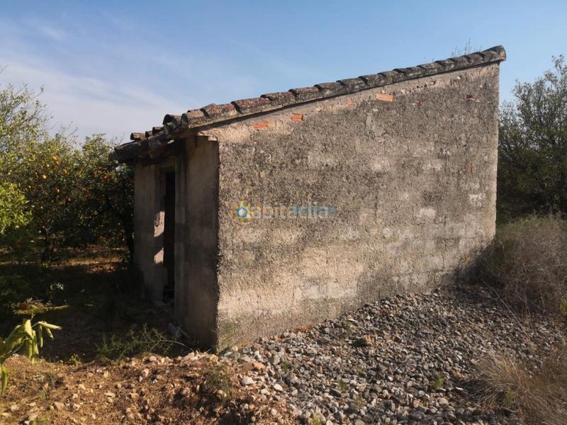 Foto 68ae5cbc-5593-40db-b0c6-d18a659e5a96. Rural plot in Pego