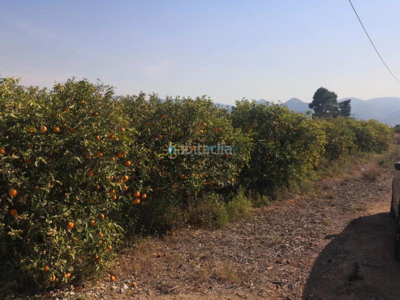 Foto eb3baa70-6c5a-4143-bcf2-9207d11cb7db. Rural plot in Pego