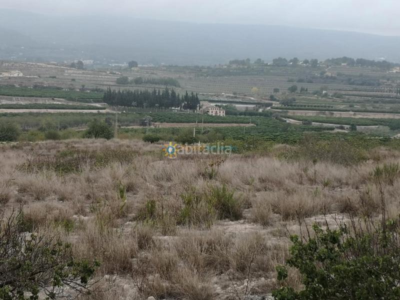 Foto e586ad74-e576-45c4-a311-81956b4f35f3. Masia amb aparcament a Albaida