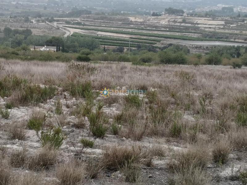 Foto fc1cef73-f8f9-42b3-a13b-5ef11978ded2. Masia amb aparcament a Albaida