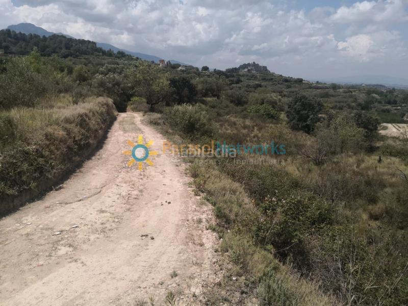 Foto 3a89c7f7-cc7f-4419-853d-1e6398679127. Landgut in Castelló de Rugat