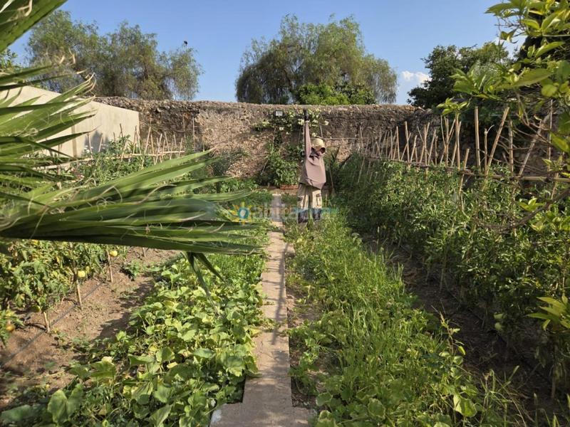 Foto a305300f-b7d1-4c76-bebb-7f9588435348. Casa pareada casa señorial de estilo rustico en Alcàntera de Xúquer