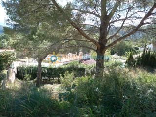 Terreny residencial a Oliva Pueblo. Parcela de venta en oliva