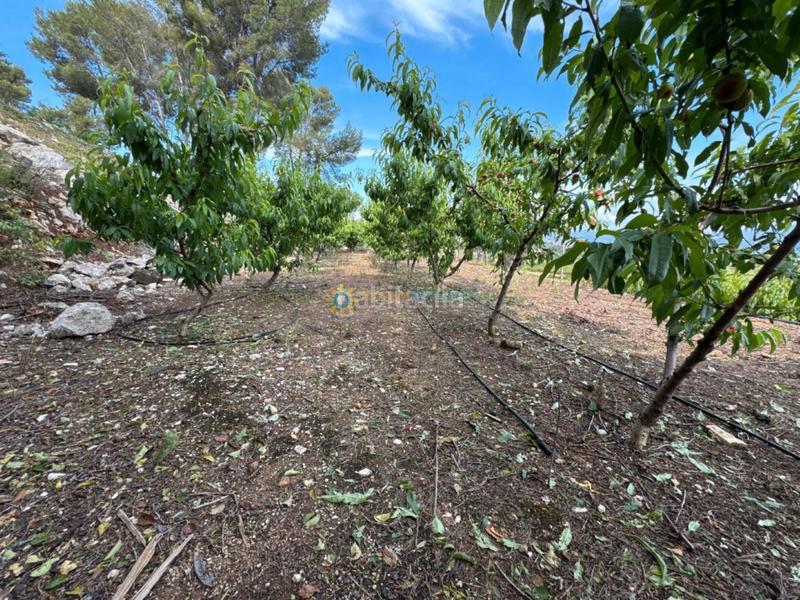 Foto 3100f7af-5a1f-4f32-8b84-96e3d216986e. Landgut in Font d´en Carròs (la)