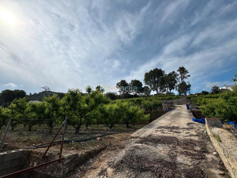 Foto 31623dd0-801a-4f69-bcd7-449b35f31a56. Landgut in Font d´en Carròs (la)