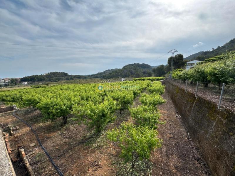 Foto 49aa7c26-1678-4514-8112-69bef54fd884. Landgut in Font d´en Carròs (la)