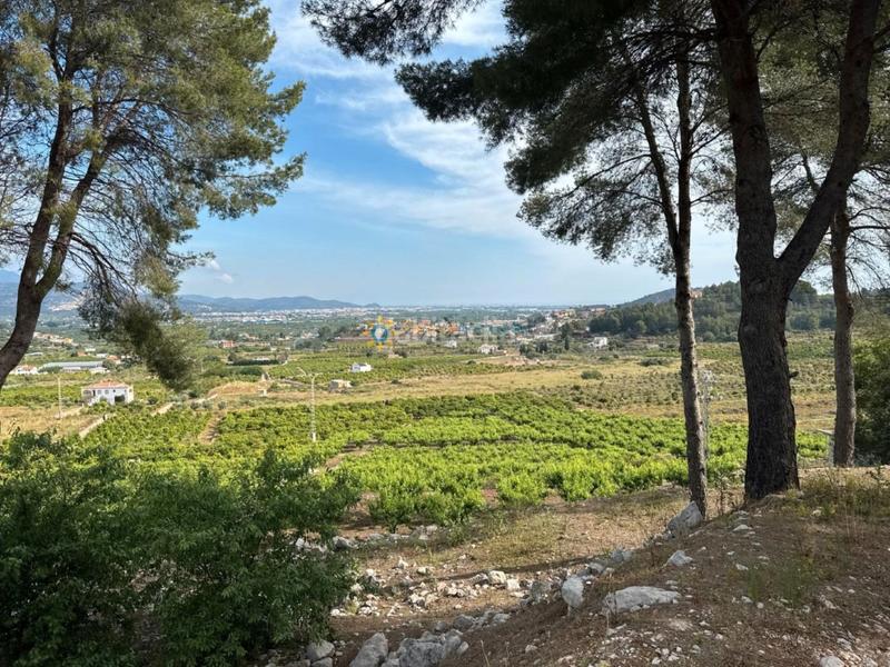 Foto 58f3fc98-1d1c-4a2e-bb95-51e8891c6300. Landgut in Font d´en Carròs (la)