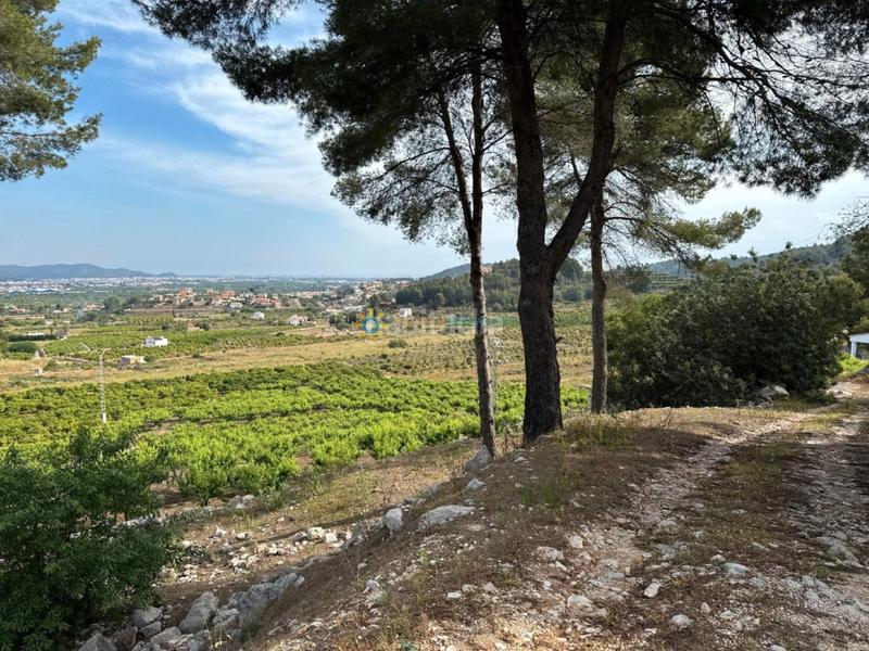 Foto 90490d2a-227b-455a-905d-2b049954b19f. Landgut in Font d´en Carròs (la)