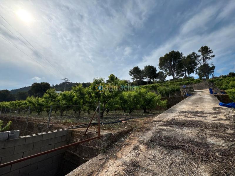 Foto 9a85e8a2-949e-431e-be4e-16ae827b86e9. Landgut in Font d´en Carròs (la)