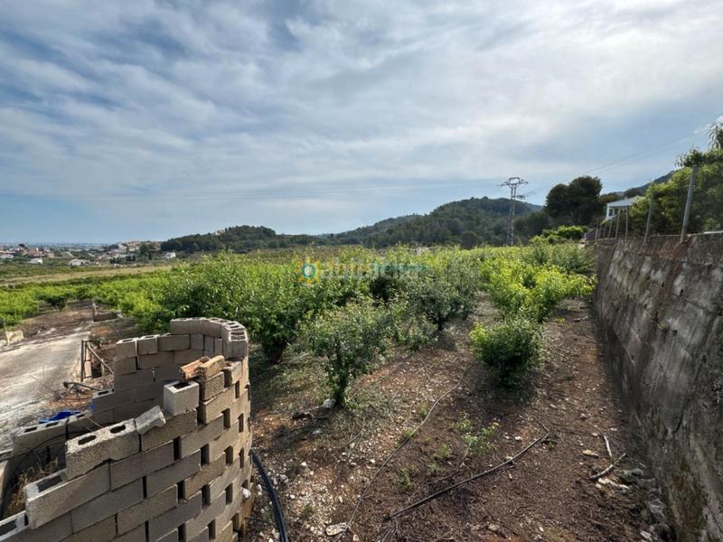 Foto afba525b-f900-4d6d-b733-f40c555212d9. Landgut in Font d´en Carròs (la)