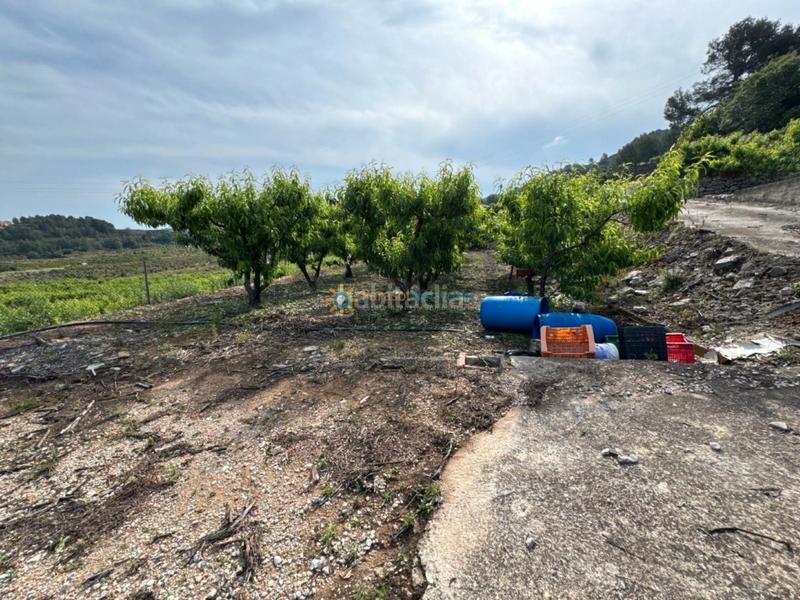 Foto d63b5280-697f-43af-8082-bdf8e8d437fb. Landgut in Font d´en Carròs (la)