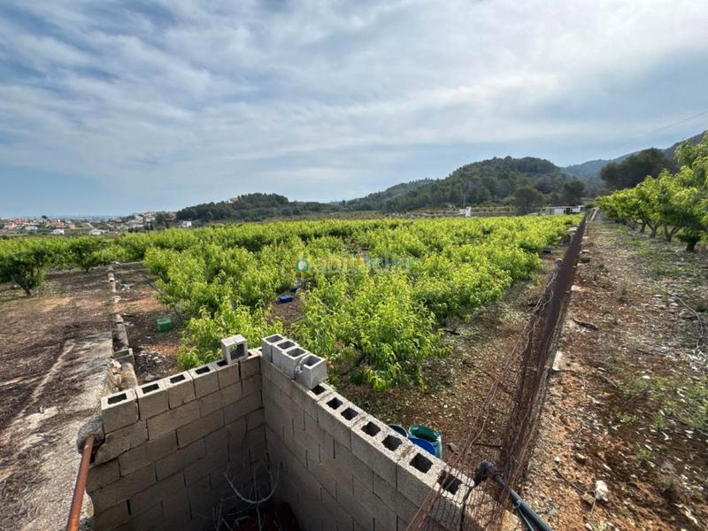 Foto ef91870c-a21d-4097-879a-cd8e95728616. Landgut in Font d´en Carròs (la)