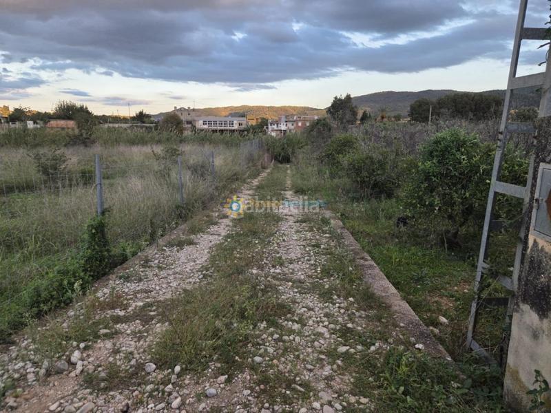 Foto 8bc6f2cc-7bee-43ee-88aa-fccf9d955569. Masía casa de campo con gran potencial en Villalonga