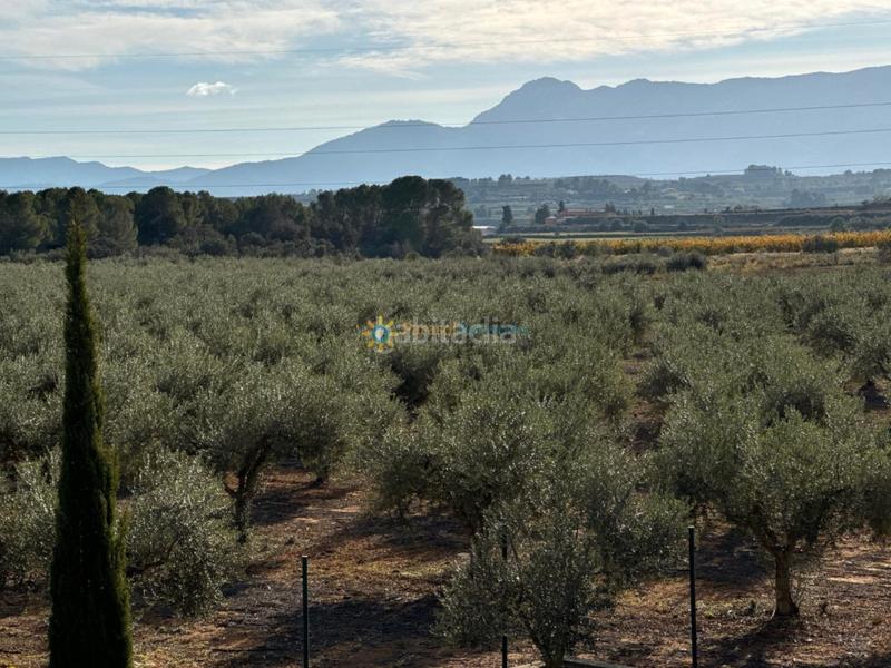 Foto 99aa6aa5-afe9-4b24-bf47-6fd348fe1f3a. Masia amb xemeneia aparcament a Palomar