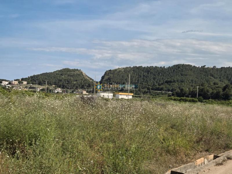 Foto 20cd9b4d-503f-4130-8369-c81b2b7f1c3f. Finca rústica terreno de venta en Oliva playa Oliva