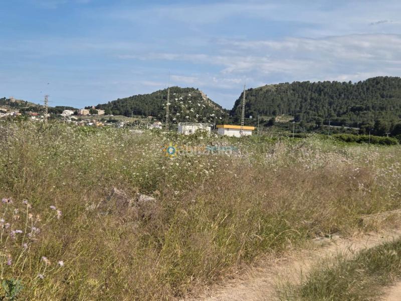 Foto 6fdfba94-8bf6-40b4-ad5f-4d037ccb6a80. Finca rústica terreno de venta en Oliva playa Oliva