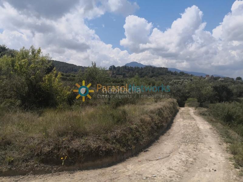 Foto 6f9dcd21-eb05-41ef-ac53-09da56403b35. Rural plot in Castelló de Rugat