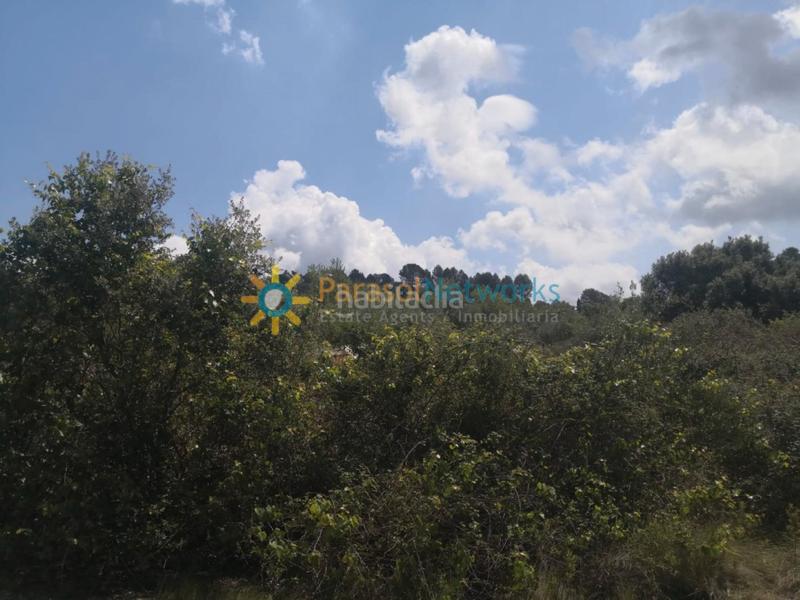 Foto c8c0c10a-ca19-4e5e-9702-73cefb62b9b0. Rural plot in Castelló de Rugat