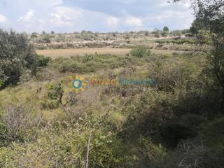 Finca rústica a Castelló de Rugat. Terreno en venta en castellon de rugat