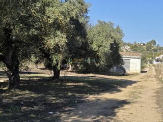 Mas à Benigànim. Terreno con casita