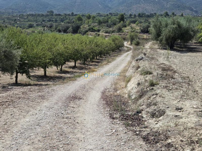 Foto 39720c49-2839-4b6b-b5b9-dd065a0c2238. Masia amb xemeneia a Bèlgida