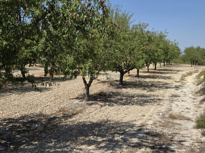Foto a9f668b1-3f32-4d4d-b8ad-0061f487f8d3. Masia amb xemeneia a Bèlgida